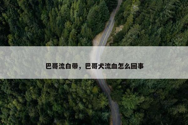 巴哥流白带，巴哥犬流血怎么回事