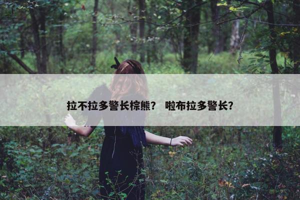 拉不拉多警长棕熊？ 啦布拉多警长？