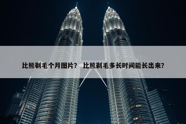 比熊剃毛个月图片？ 比熊剃毛多长时间能长出来？