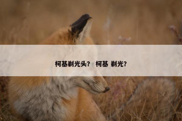 柯基剃光头？ 柯基 剃光？