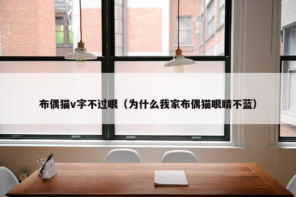 布偶猫v字不过眼（为什么我家布偶猫眼睛不蓝）