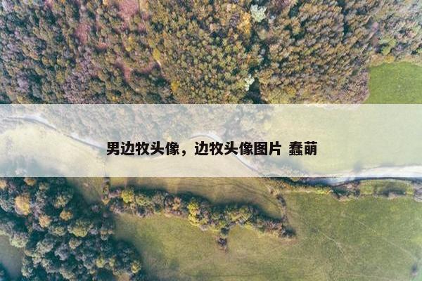 男边牧头像，边牧头像图片 蠢萌