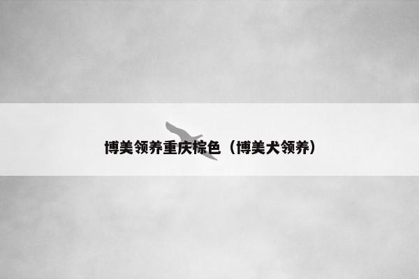 博美领养重庆棕色（博美犬领养）