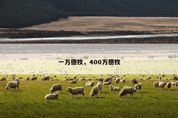 一万德牧，400万德牧