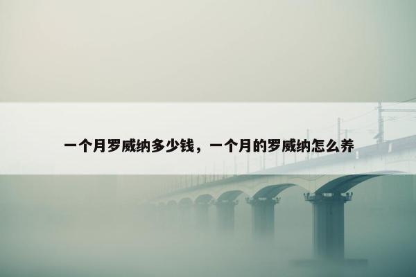 一个月罗威纳多少钱，一个月的罗威纳怎么养
