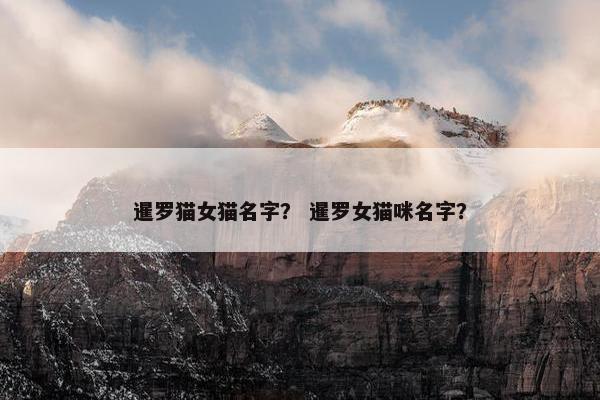 暹罗猫女猫名字？ 暹罗女猫咪名字？