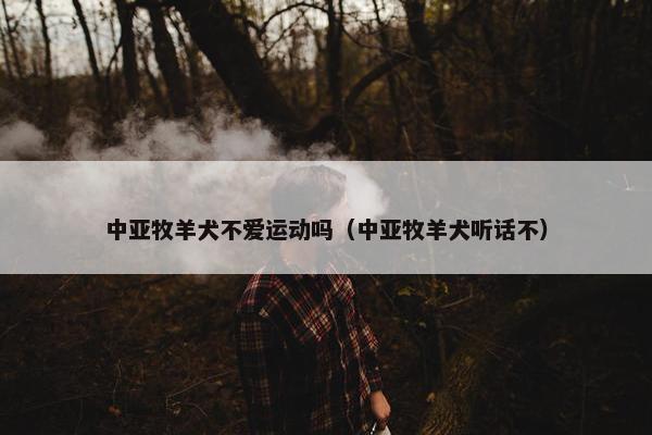 中亚牧羊犬不爱运动吗（中亚牧羊犬听话不）
