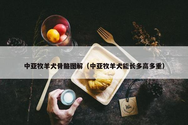 中亚牧羊犬骨骼图解（中亚牧羊犬能长多高多重）