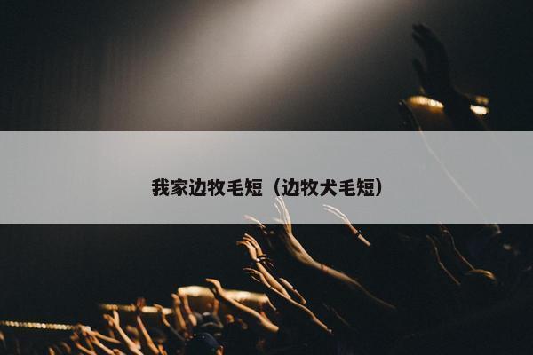 我家边牧毛短（边牧犬毛短）