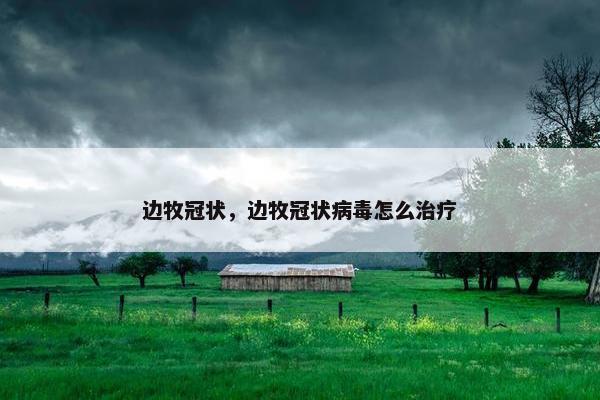 边牧冠状，边牧冠状病毒怎么治疗
