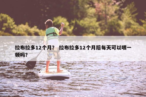 拉布拉多12个月？ 拉布拉多12个月后每天可以喂一顿吗？