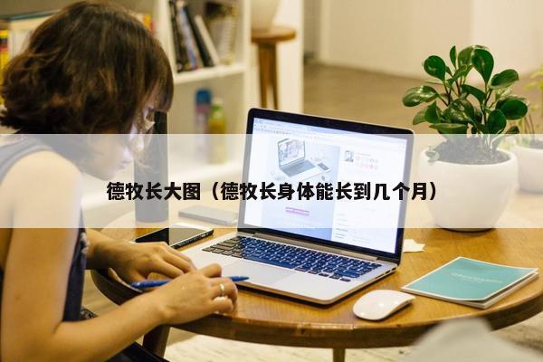 德牧长大图（德牧长身体能长到几个月）