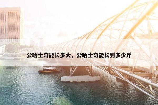 公哈士奇能长多大，公哈士奇能长到多少斤
