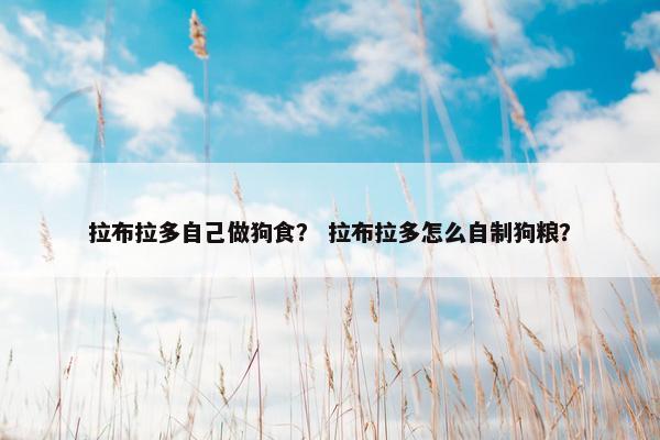 拉布拉多自己做狗食？ 拉布拉多怎么自制狗粮？