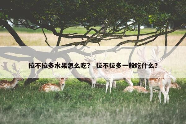 拉不拉多水果怎么吃？ 拉不拉多一般吃什么？