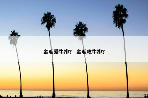 金毛爱牛排？ 金毛吃牛排？
