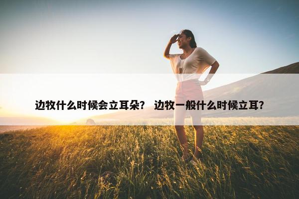 边牧什么时候会立耳朵？ 边牧一般什么时候立耳？