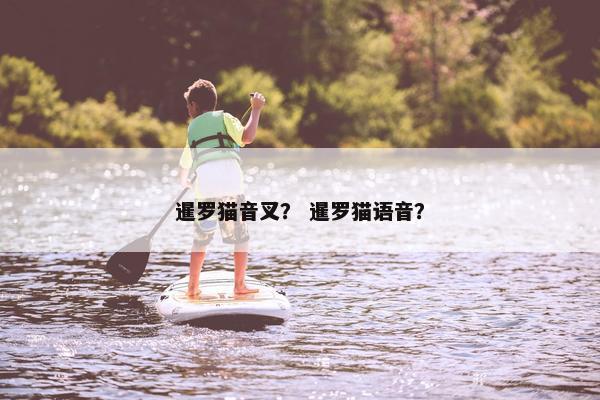 暹罗猫音叉？ 暹罗猫语音？