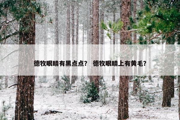 德牧眼睛有黑点点？ 德牧眼睛上有黄毛？