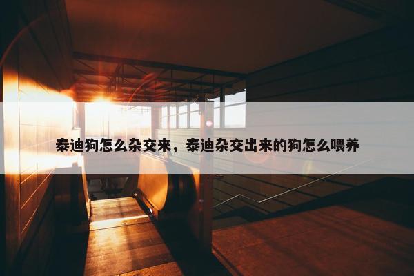 泰迪狗怎么杂交来，泰迪杂交出来的狗怎么喂养
