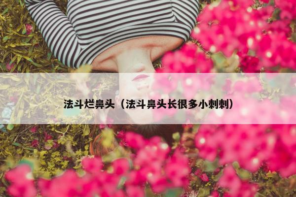 法斗烂鼻头（法斗鼻头长很多小刺刺）
