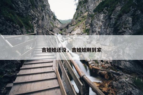 吉娃娃还没，吉娃娃刚到家