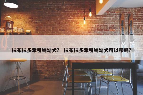 拉布拉多牵引绳幼犬？ 拉布拉多牵引绳幼犬可以带吗？