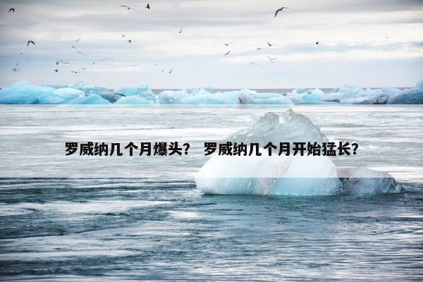 罗威纳几个月爆头？ 罗威纳几个月开始猛长？