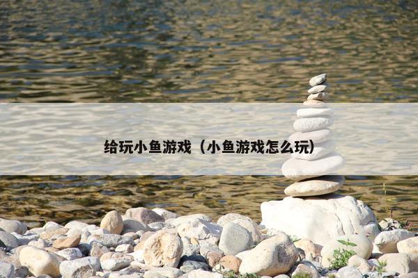 给玩小鱼游戏（小鱼游戏怎么玩）