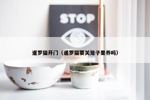 暹罗猫开门（暹罗猫要关笼子里养吗）