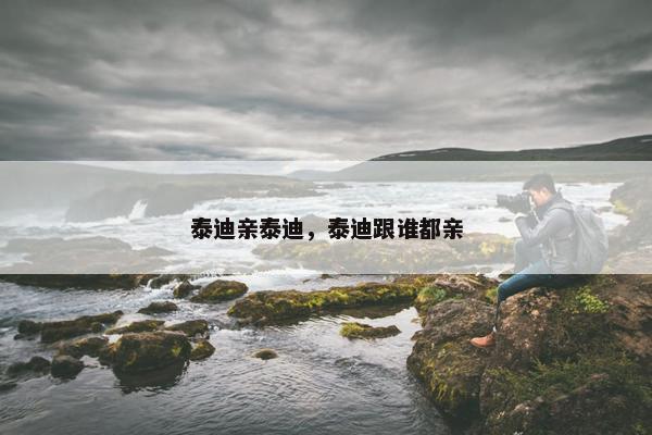 泰迪亲泰迪，泰迪跟谁都亲