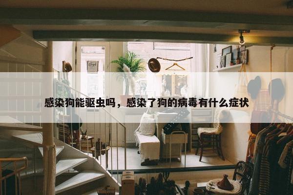 感染狗能驱虫吗，感染了狗的病毒有什么症状