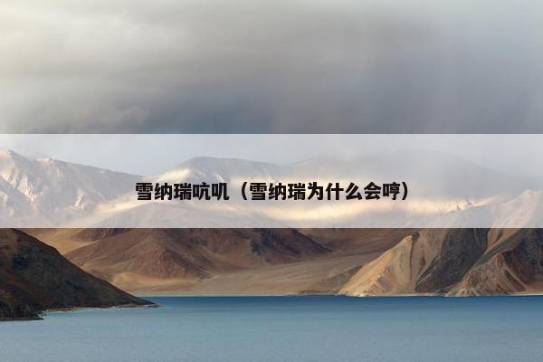 雪纳瑞吭叽（雪纳瑞为什么会哼）