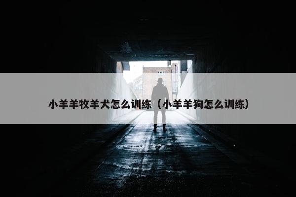 小羊羊牧羊犬怎么训练（小羊羊狗怎么训练）