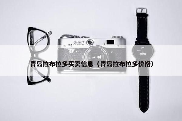 青岛拉布拉多买卖信息（青岛拉布拉多价格）