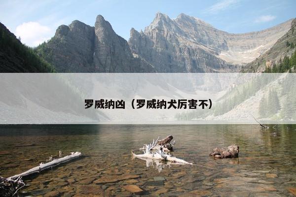 罗威纳凶（罗威纳犬厉害不）