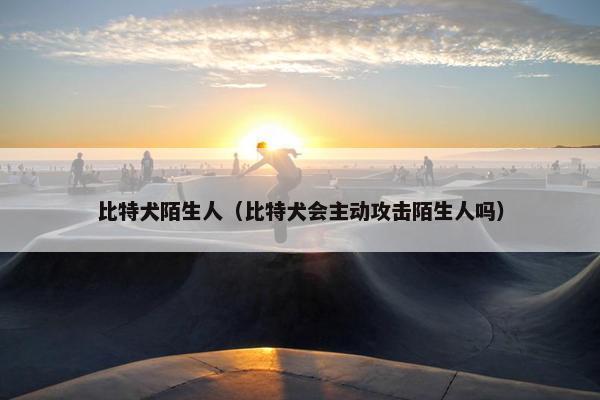 比特犬陌生人（比特犬会主动攻击陌生人吗）