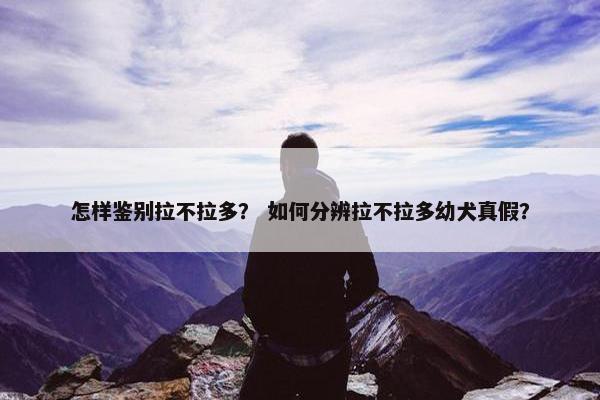 怎样鉴别拉不拉多？ 如何分辨拉不拉多幼犬真假？