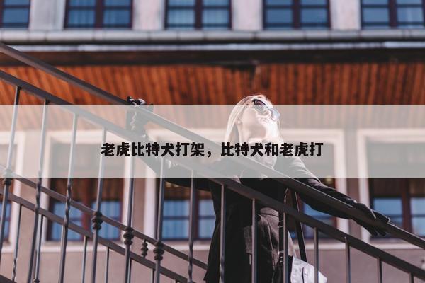 老虎比特犬打架，比特犬和老虎打