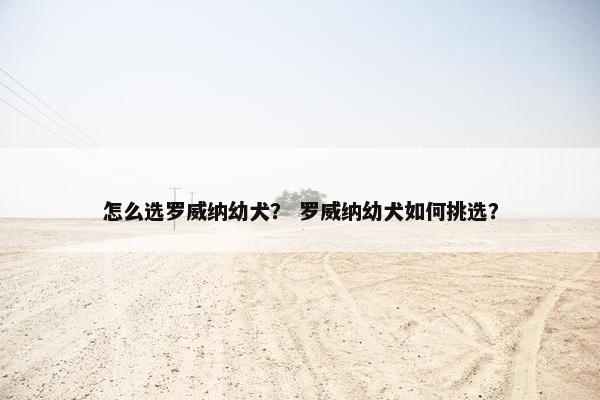 怎么选罗威纳幼犬？ 罗威纳幼犬如何挑选？