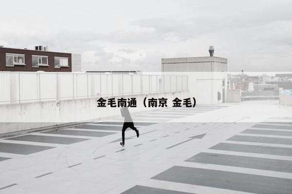 金毛南通（南京 金毛）