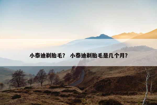 小泰迪剃胎毛？ 小泰迪剃胎毛是几个月？