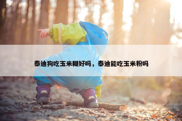 泰迪狗吃玉米糊好吗，泰迪能吃玉米粉吗
