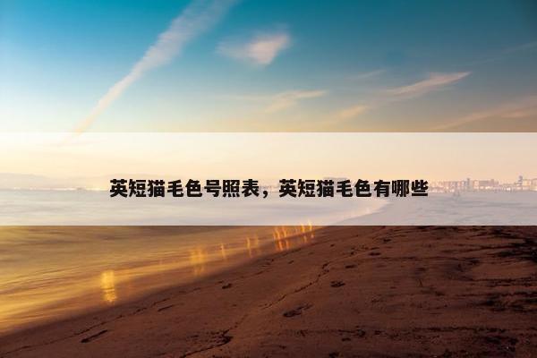 英短猫毛色号照表，英短猫毛色有哪些