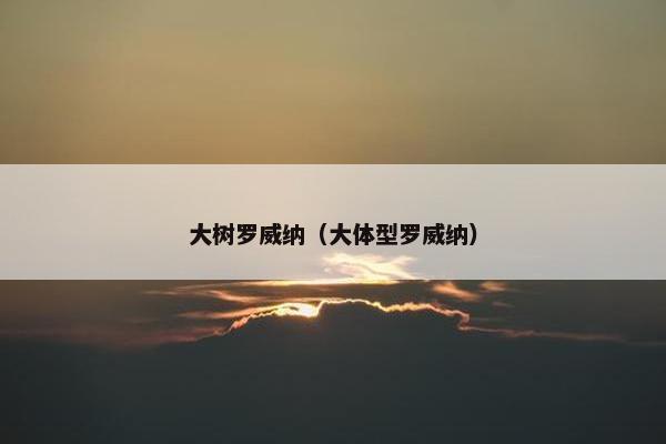 大树罗威纳（大体型罗威纳）