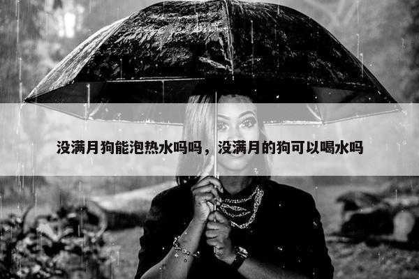 没满月狗能泡热水吗吗，没满月的狗可以喝水吗