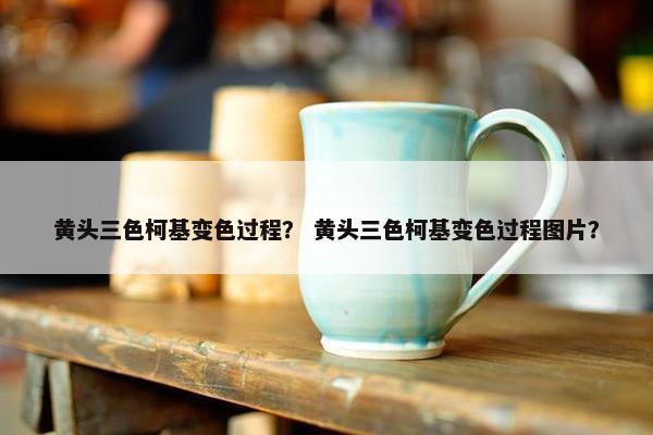 黄头三色柯基变色过程？ 黄头三色柯基变色过程图片？