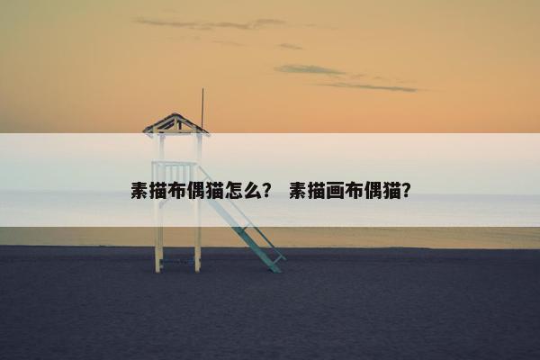 素描布偶猫怎么？ 素描画布偶猫？