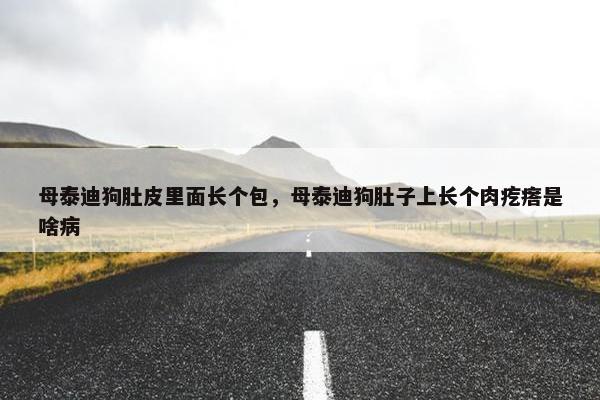 母泰迪狗肚皮里面长个包，母泰迪狗肚子上长个肉疙瘩是啥病