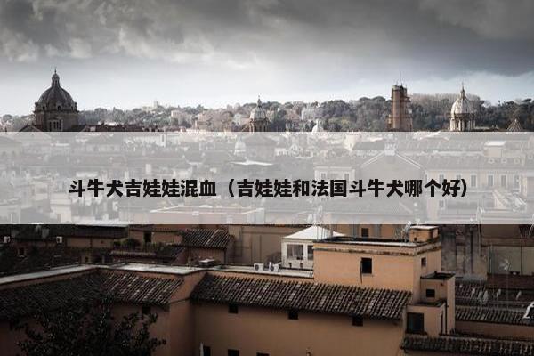 斗牛犬吉娃娃混血（吉娃娃和法国斗牛犬哪个好）